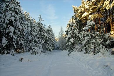 休闲游戏《窗景》Steam页面上线 明年发售